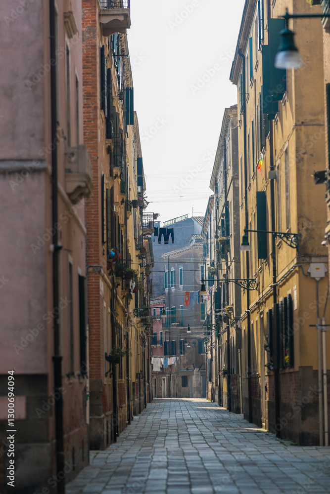 Fototapeta premium Wenecja Karnawał