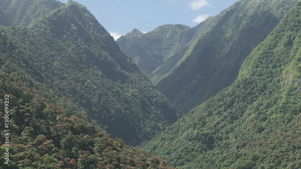 Aerial View Tropical Island Valley Forest Mountain, Tahiti, French Polynesia Aerial View Tropical Island Valley Forest Mountain, Tahiti, French Polynesia