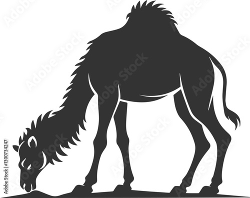 Camel sniffing the ground animal vector silhouette