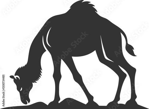 Camel sniffing the ground animal vector silhouette