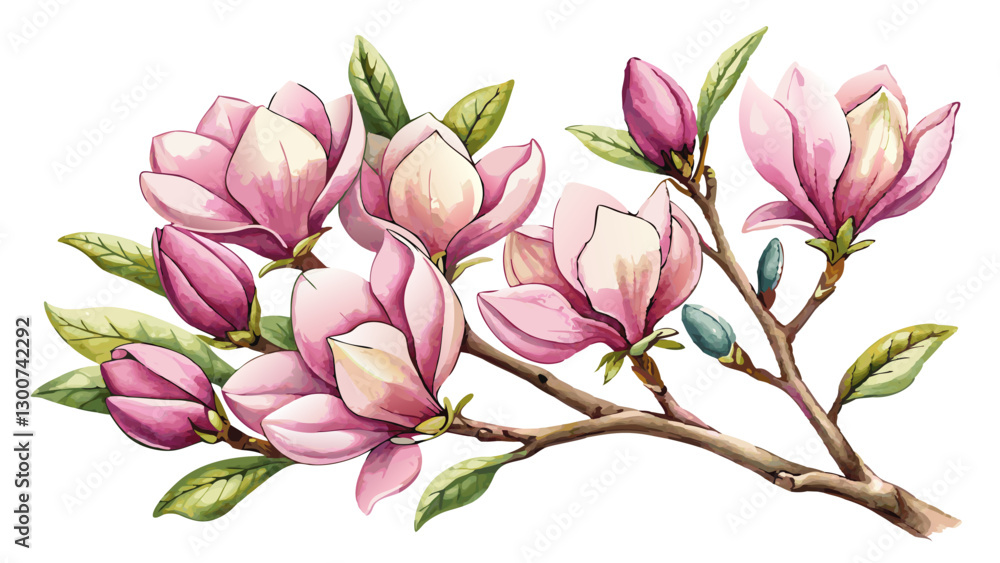 Fototapeta premium Magnolia Flower Branch Watercolor Illustration on White or Transparent Background. Perfect for: Spring Festivals, Weddings, Chinese New Year