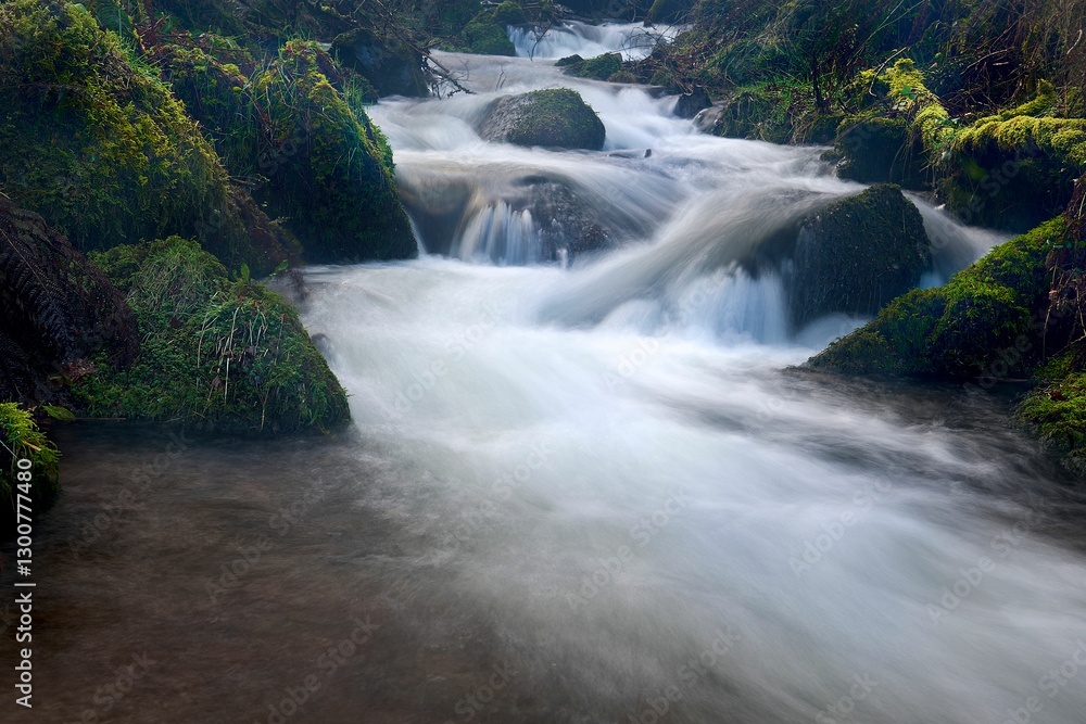 Fototapeta premium Serene forest stream in Exmoor National Park