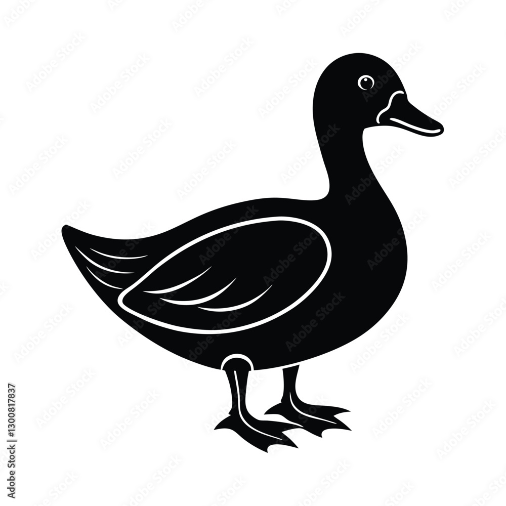 Obraz premium duck isolated on white