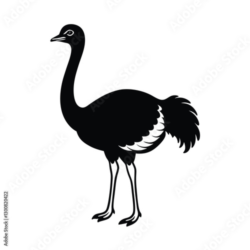 vector illustration of an ostrich