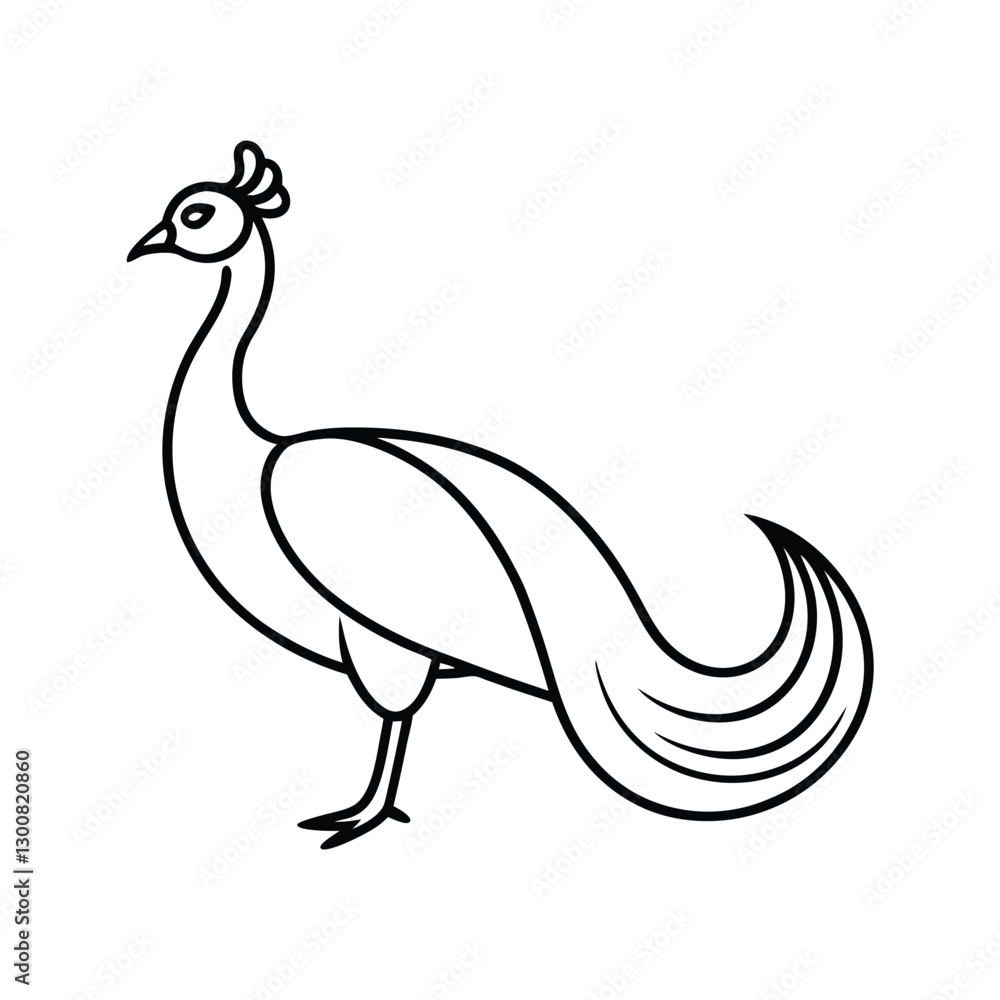vector illustration of peacock vector illustration of peacock