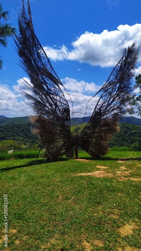 butterfly wings sculpture nature sky in vassouras photo