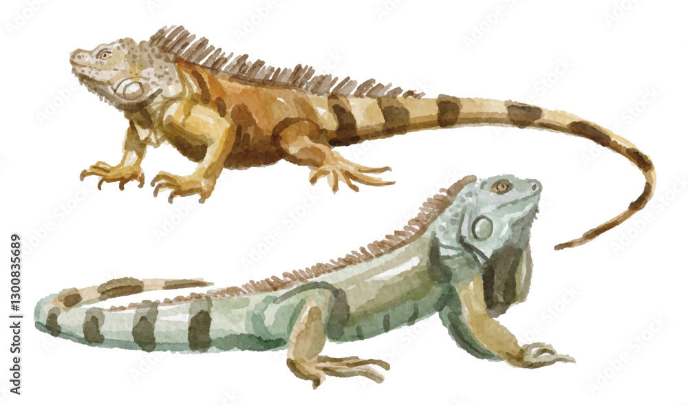 Fototapeta premium Watercolor set of iguana for logo, invitations and more