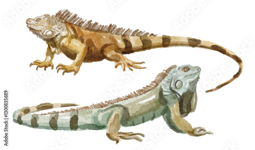 Watercolor set of iguana for logo, invitations and more