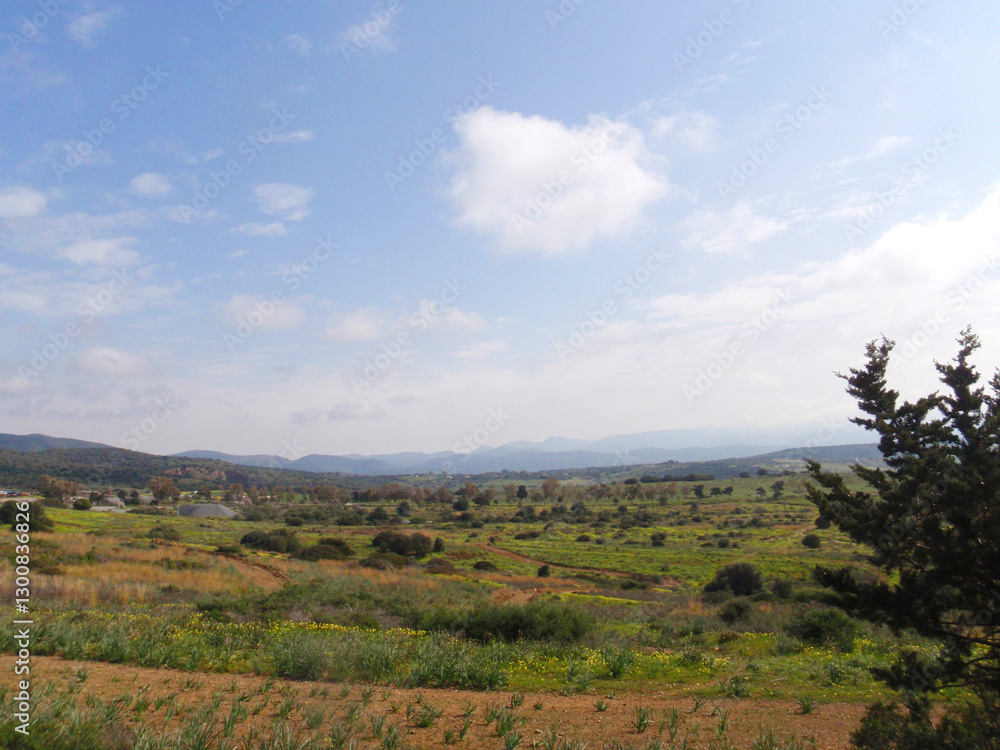 Fototapeta premium Natura