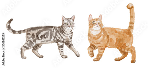 Watercolor set of cat for logo, invitations and more