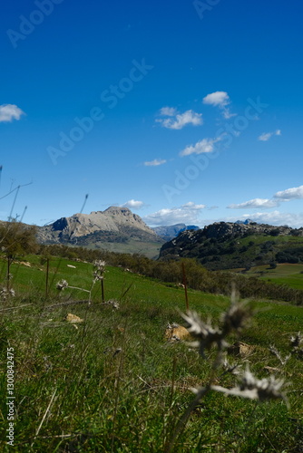 Beautiful landscape of mountains and green fields. Spain, Torcal de Antequera