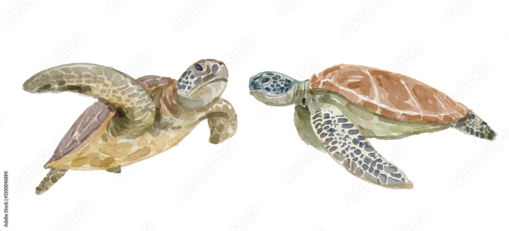 Obraz premium Watercolor set of sea turtle for logo, invitations and more