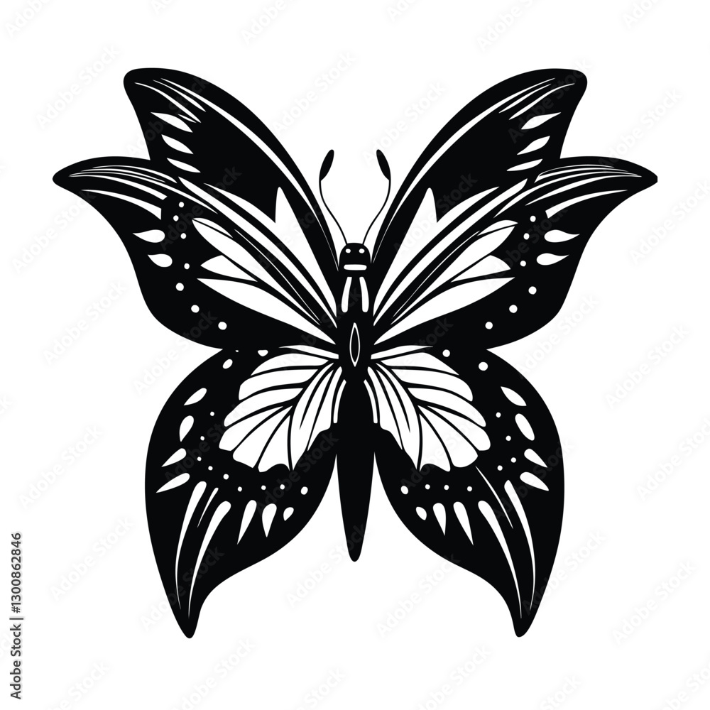 black and white butterfly isolated with white background black and white butterfly isolated with white background