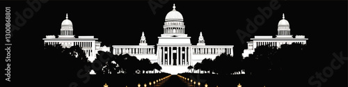 Elegant Nighttime Capitol Building Vector Illustration with Symmetrical Design and Iconic Dome Structure Surrounded by Trees and Lit Pathway Scene