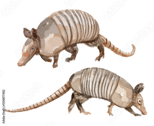 Watercolor set of armadillo for logo, invitations and more
