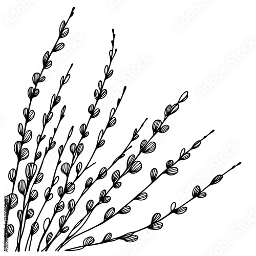 A set of willow twigs drawn with one line. Spring season. Easter concept. Hand drawn, Vector illustration