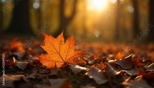 A blurry image of a fallen leaf surrounded by autumn foliage, bathed in soft sunlight filtering through the trees. A warm, tranquil atmosphere capturing fall colors.