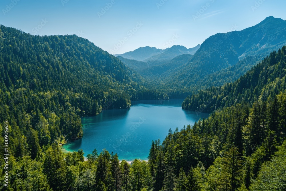 Obraz premium Panoramic aerial view of a lake surrounded by dense forest under a clear blue sky