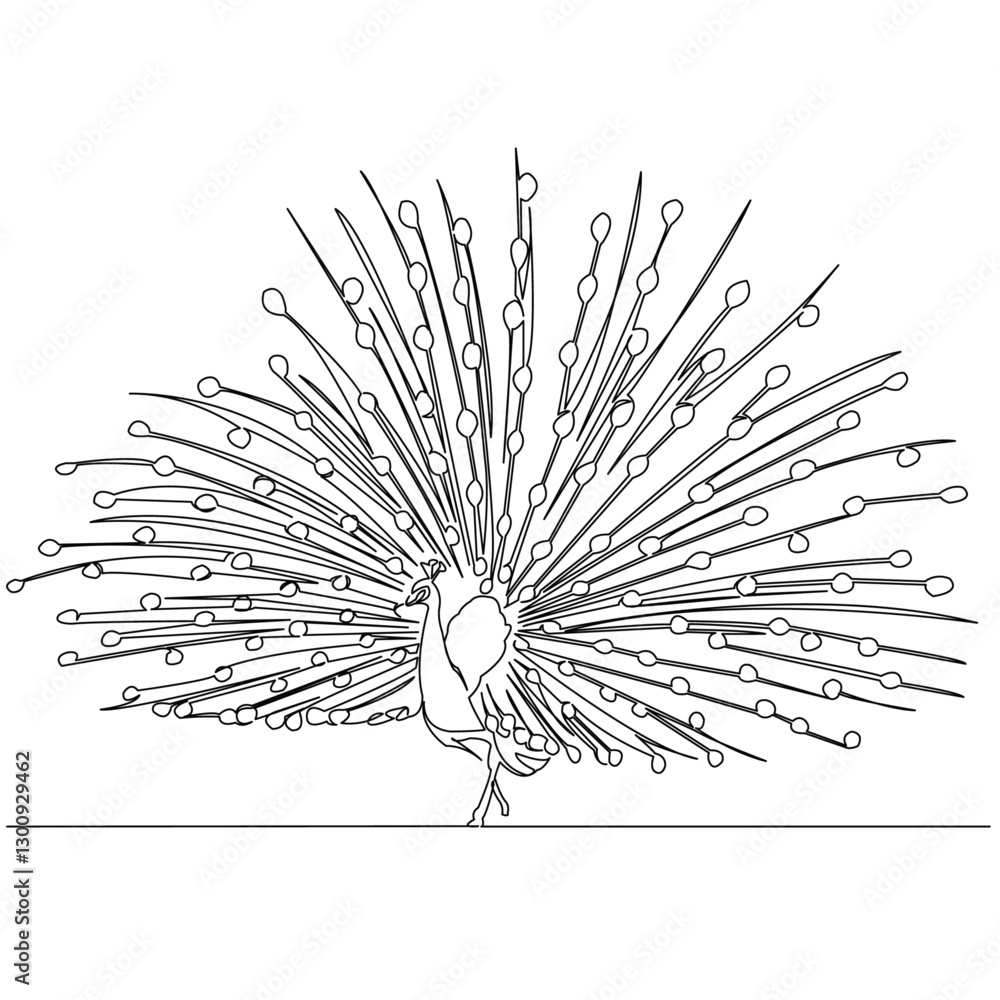Obraz premium One continuous single drawing line art flat doodle feather, peacock, bird, beautiful, animal. Isolated image hand draw contour on a white background 