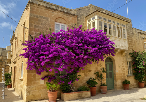 Traditional Maltese stone house adorned with lush purple bougainvillea, featuring a charming balcony, potted plants, and rustic architecture under clear blue sky