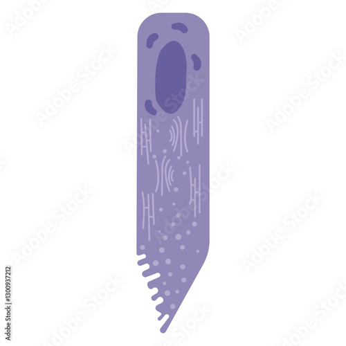 Amelobast secretory phase colored icon