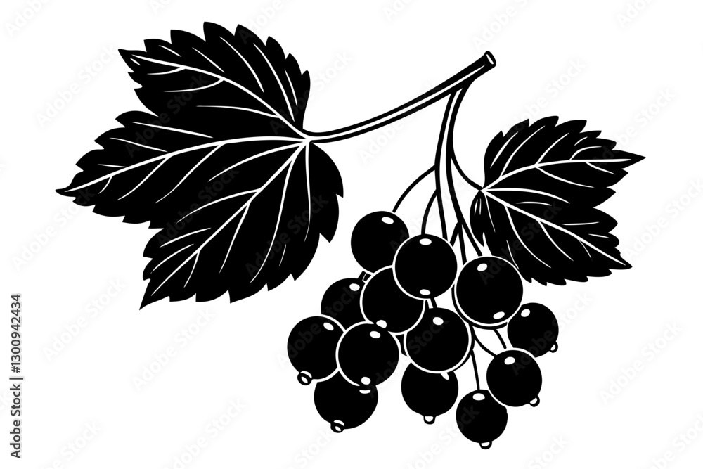 Obraz premium Currant Vector Illustration for Nature-Inspired Design
