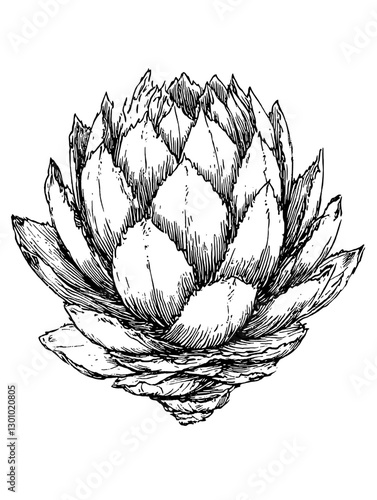 Detailed vector engraving of an artichoke for elegant product design in kitchen and dining applications