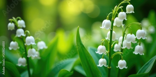 White lily of the valley flowers tangled in twine, lilies, flowers, garden