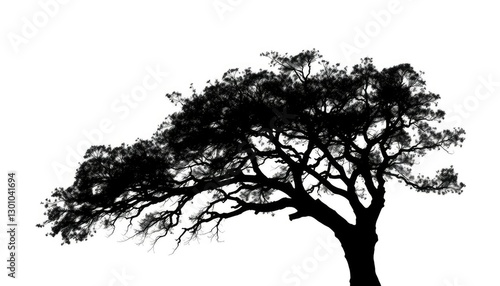 Wallpaper Mural Single, majestic tree silhouetted against a pure white backdrop, plant, illustration Torontodigital.ca