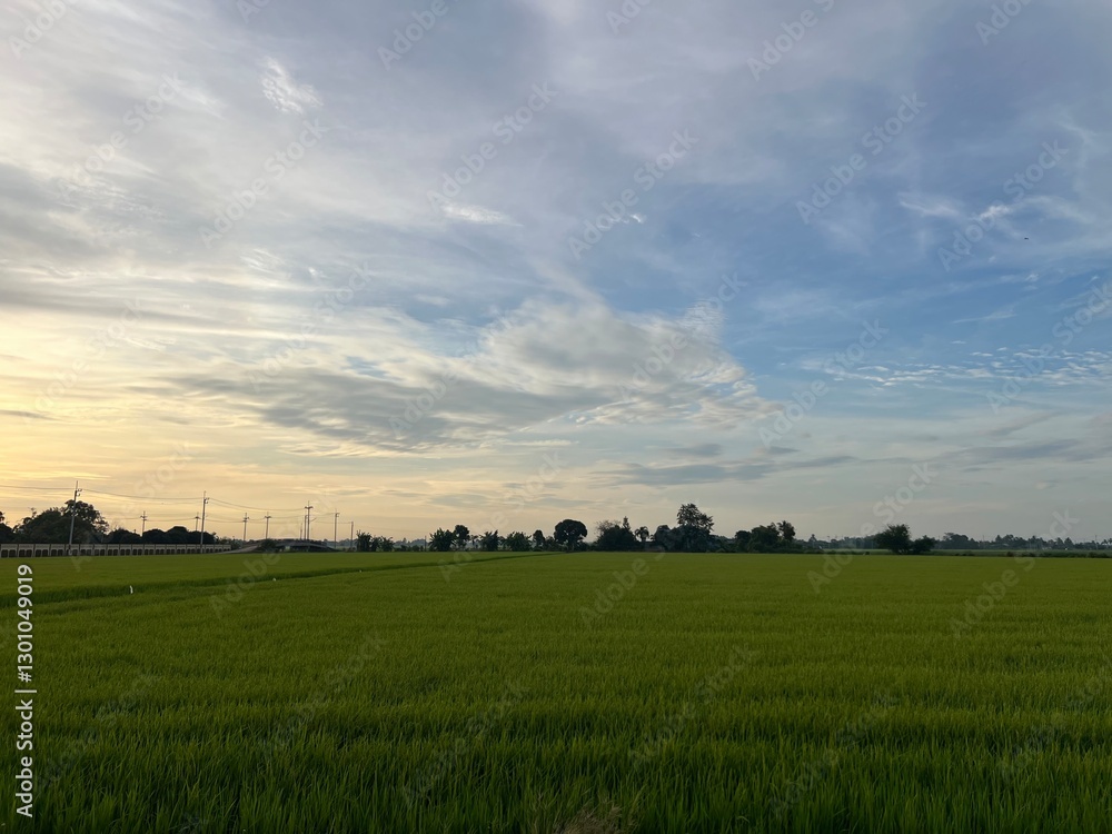 A serene landscape featuring lush green rice fields under a vast sky, with soft clouds and a calming atmosphere. A serene landscape featuring lush green rice fields under a vast sky, with soft clouds and a calming atmosphere.