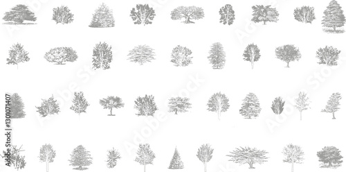 Minimal style cad tree line drawing, Side view, set