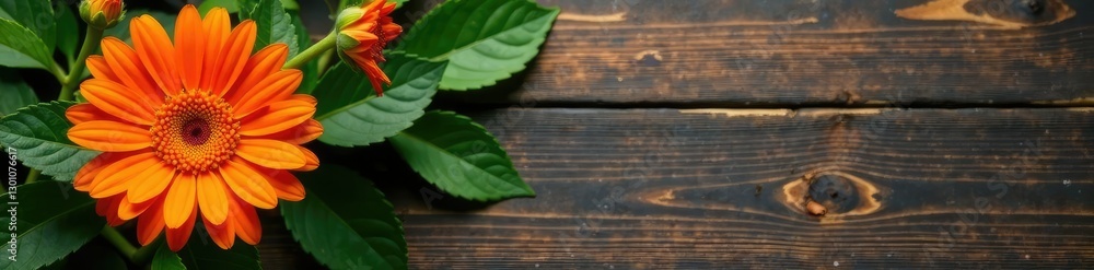 Single orange gerbera on a wooden table with greenery, leaves, details Single orange gerbera on a wooden table with greenery, leaves, details