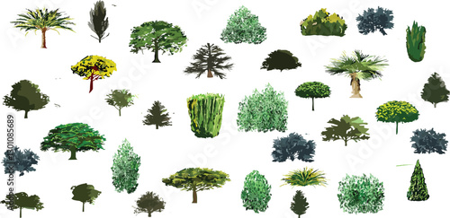 bush, shurb watercolor vector illustration, Minimal style tree painting hand drawn