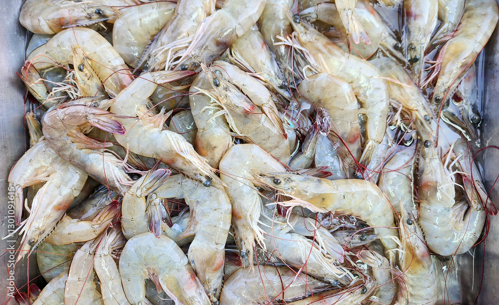 Fresh shrimp in the seafood market Fresh shrimp in the seafood market