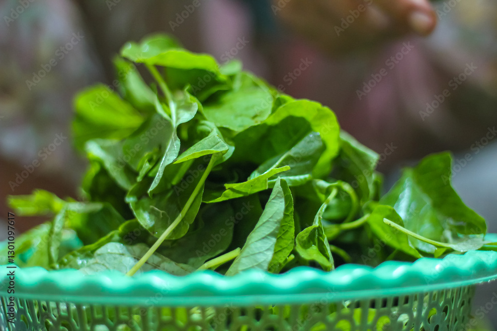 piles of fresh spinach leaves piled up in the basket piles of fresh spinach leaves piled up in the basket