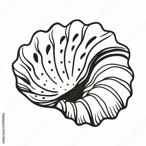 Hand Drawn Nautical Shell Illustration Black and White Vector Art