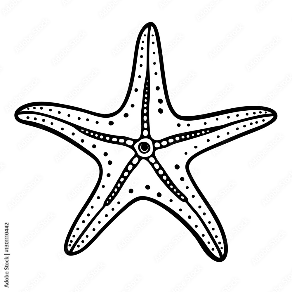 Detailed Black and White Starfish Illustration for Marine Life Designs Detailed Black and White Starfish Illustration for Marine Life Designs