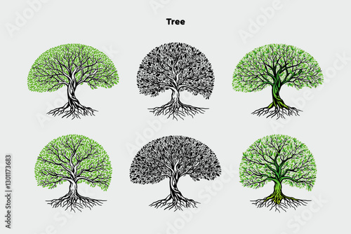 A collection of 6 trees on a white background, suitable for use in design, architecture, decoration, and in nature articles as well as in print, vector illustration
