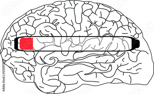 The image shows a black and white illustration of a brain with a horizontal progress bar partially filled in red.