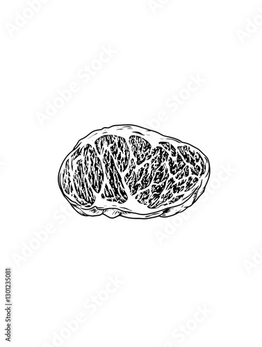Detailed vector engraving of a meat cut ideal for culinary product design and branding elements