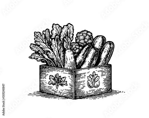 Vector engraved illustration showcasing a wooden box filled with assorted fresh vegetables suitable for product design