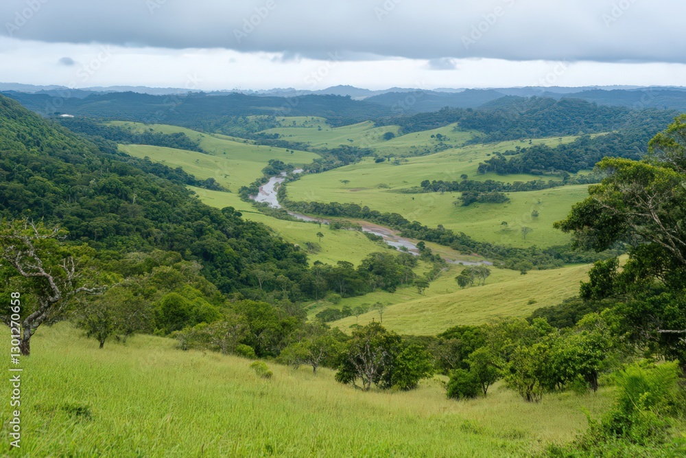 Obraz premium Serene Panoramic Valley Landscape with Meandering River