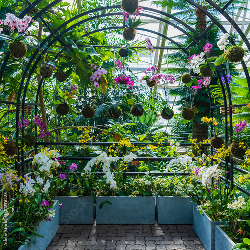 Tropical Garden