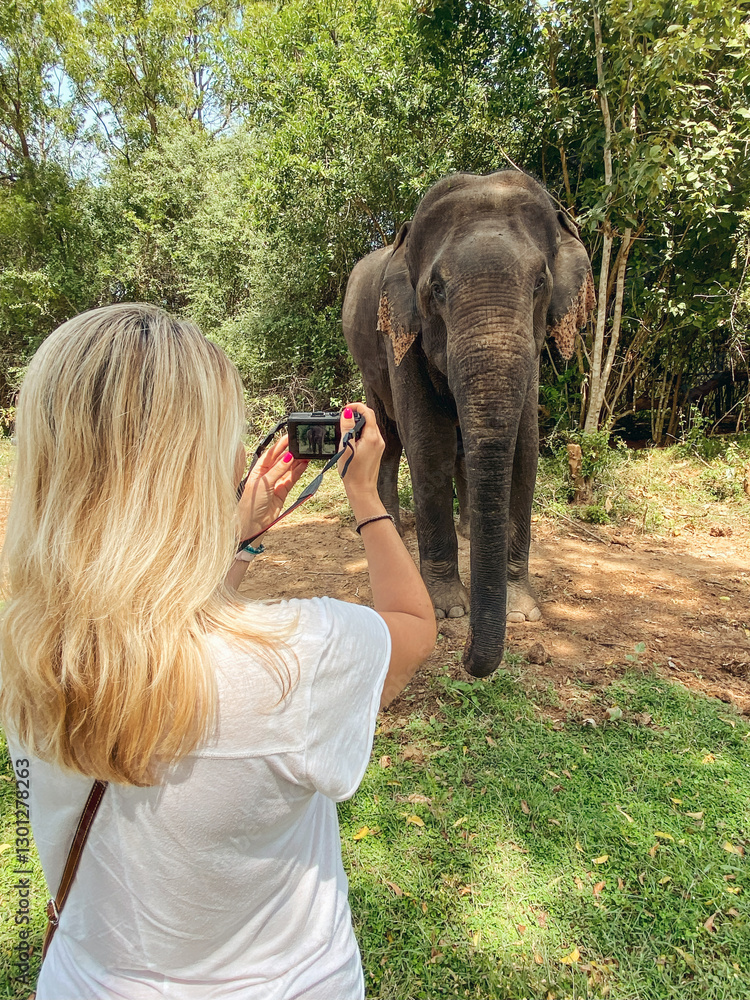 Fototapeta premium Woman taking picture of elephant
