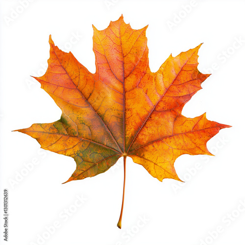 Wallpaper Mural Maple leaf in vibrant autumn colors Torontodigital.ca