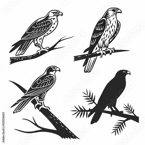 set of birds