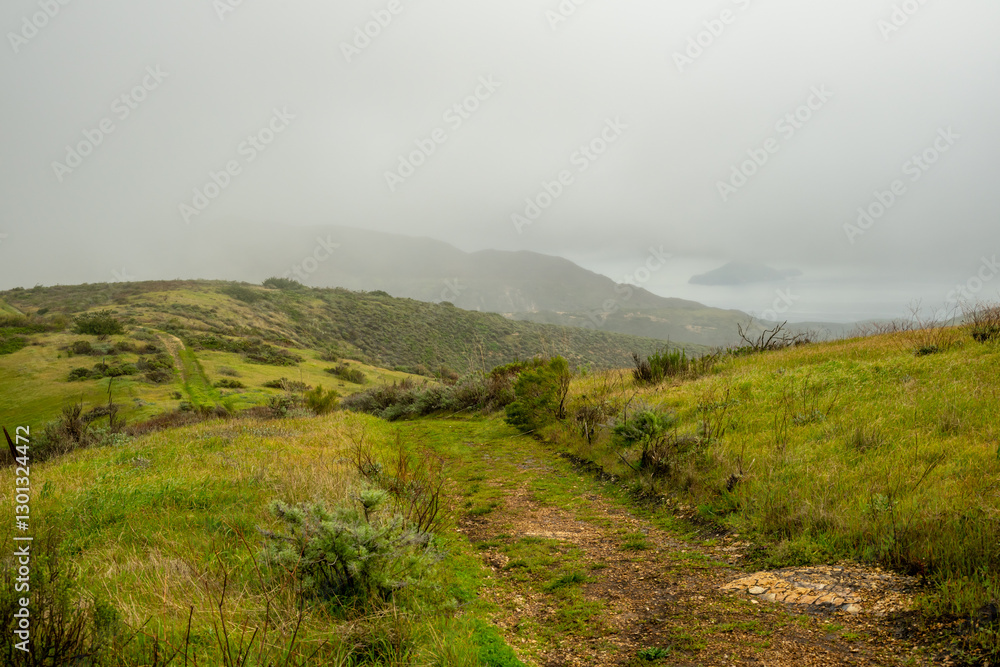 Obraz premium Thick Fog Rolls in Over Shoreline of Santa Cruz Island
