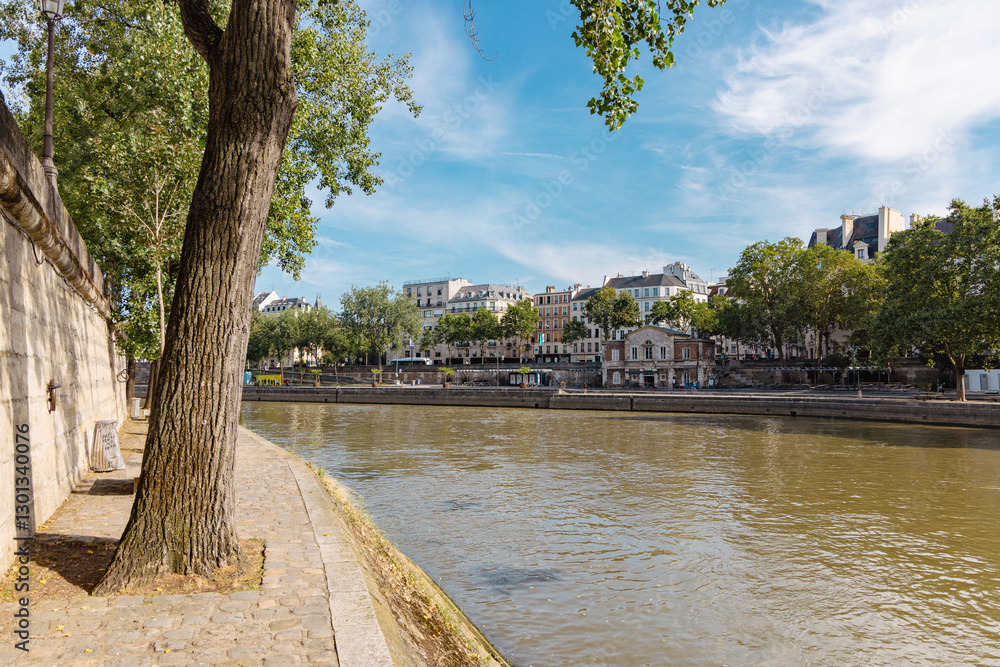 Easy stroll next to the seine river in paris with view of lazy river, trees and houses aligned next to the river.