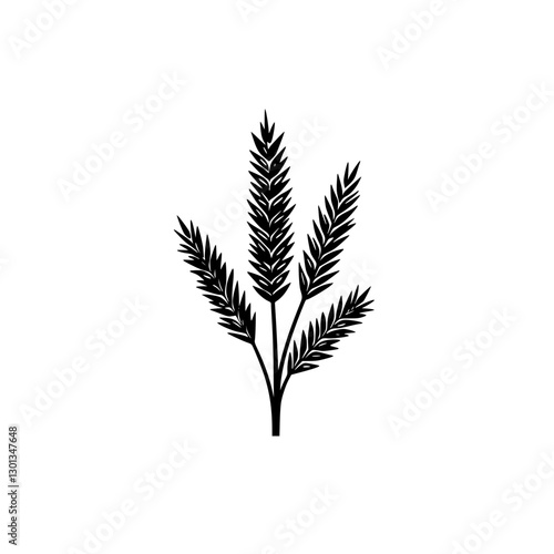 Vector engraved illustration of a botanical design featuring detailed pine branches and needles suitable for product design