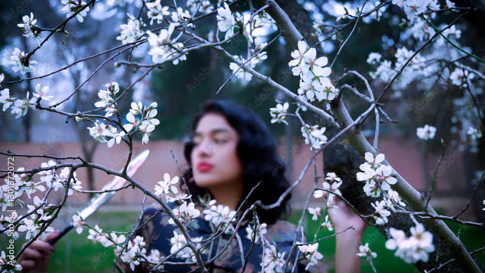 Young woman smelling almond blossoms in a chinese dress with a fan